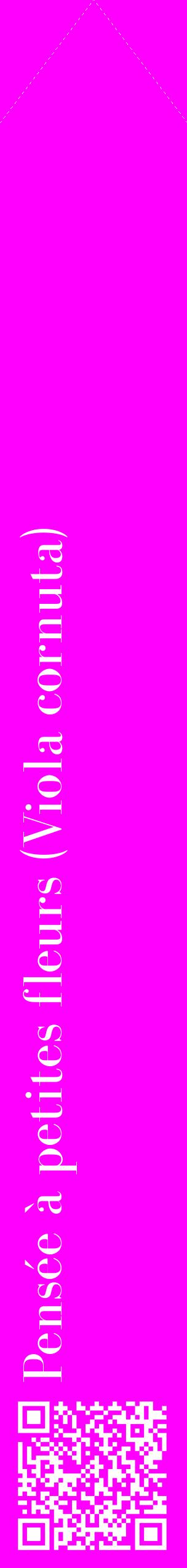 Étiquette de : Viola cornuta - format c - style blanche51_simplebod avec qrcode et comestibilité
