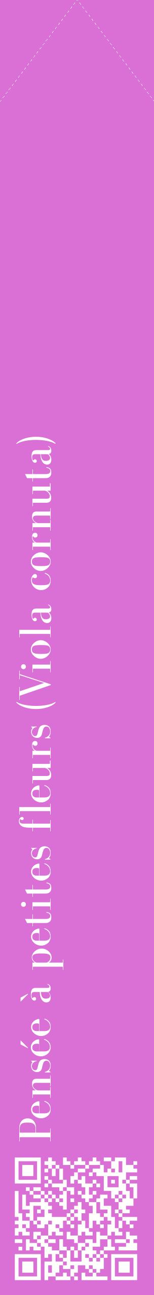 Étiquette de : Viola cornuta - format c - style blanche52_simplebod avec qrcode et comestibilité