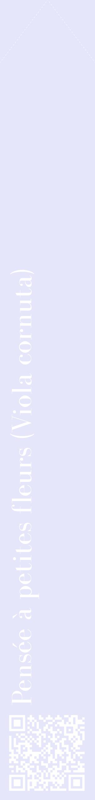 Étiquette de : Viola cornuta - format c - style blanche55_simplebod avec qrcode et comestibilité