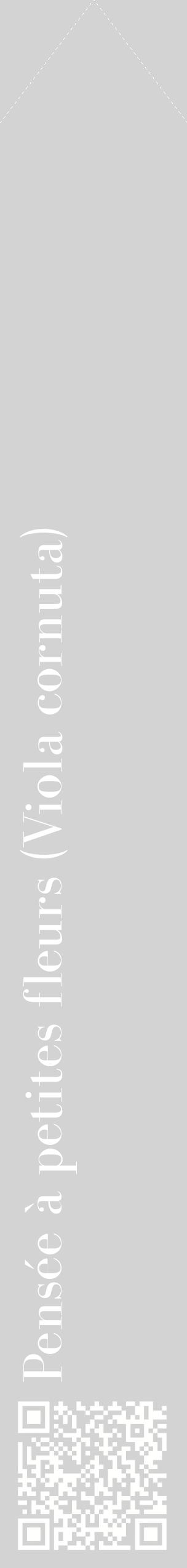 Étiquette de : Viola cornuta - format c - style blanche56_simplebod avec qrcode et comestibilité