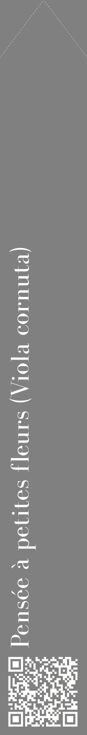 Étiquette de : Viola cornuta - format c - style blanche57_simplebod avec qrcode et comestibilité
