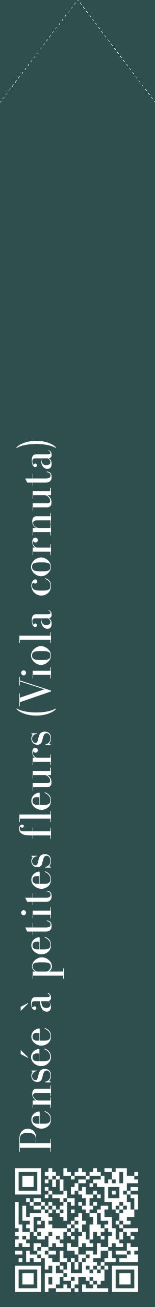 Étiquette de : Viola cornuta - format c - style blanche58_simplebod avec qrcode et comestibilité