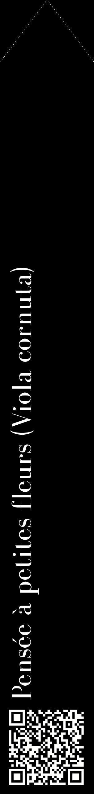 Étiquette de : Viola cornuta - format c - style blanche59_simplebod avec qrcode et comestibilité