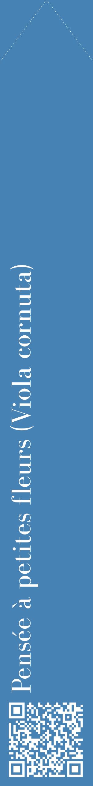 Étiquette de : Viola cornuta - format c - style blanche5_simplebod avec qrcode et comestibilité