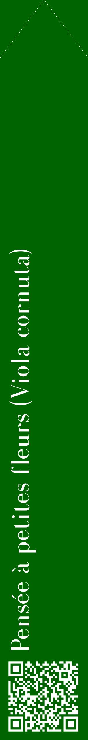 Étiquette de : Viola cornuta - format c - style blanche8_simplebod avec qrcode et comestibilité