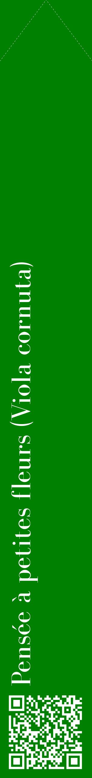 Étiquette de : Viola cornuta - format c - style blanche9_simplebod avec qrcode et comestibilité