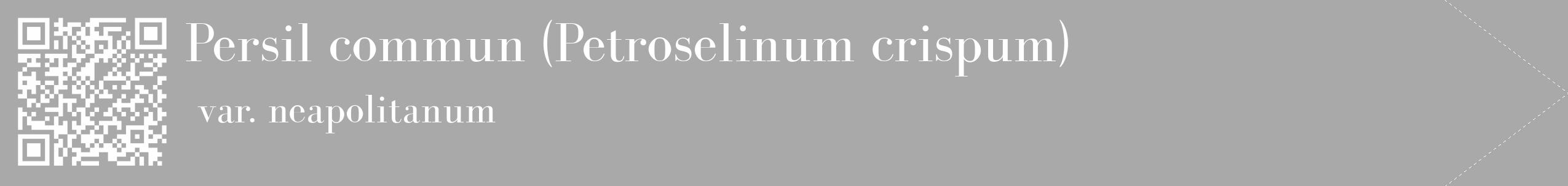 Étiquette de : Petroselinum crispum var. neapolitanum - format c - style blanche13_simple_simplebod avec qrcode et comestibilité