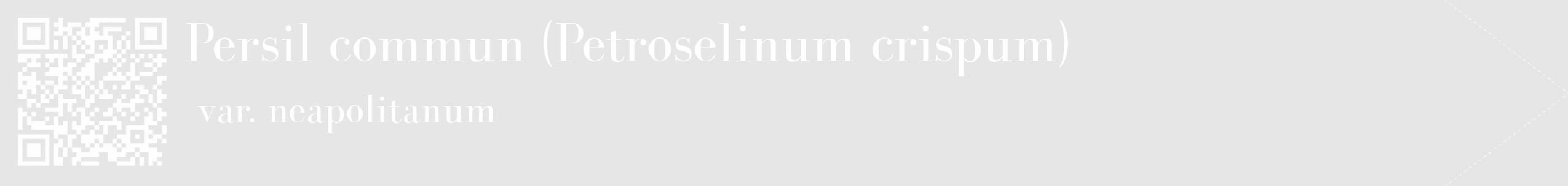 Étiquette de : Petroselinum crispum var. neapolitanum - format c - style blanche18_simple_simplebod avec qrcode et comestibilité