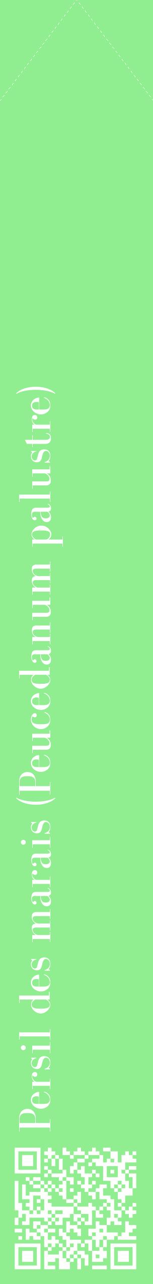 Étiquette de : Peucedanum palustre - format c - style blanche15_simplebod avec qrcode et comestibilité
