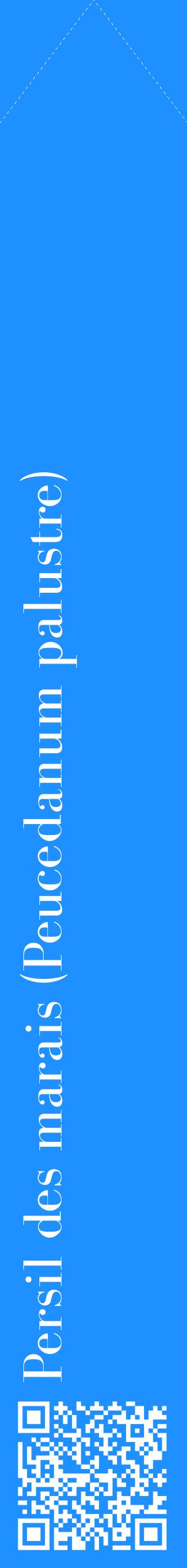 Étiquette de : Peucedanum palustre - format c - style blanche3_simplebod avec qrcode et comestibilité