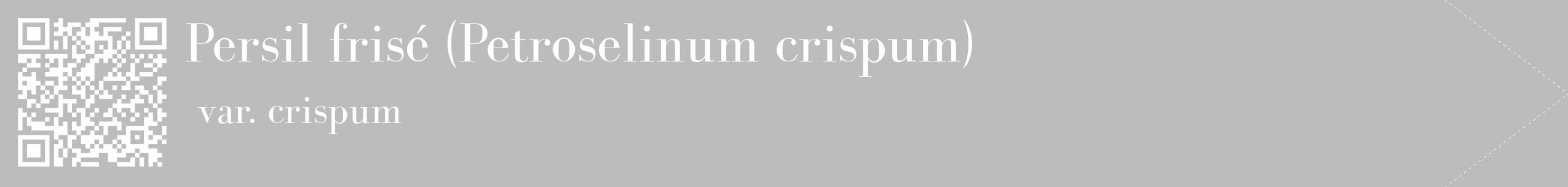 Étiquette de : Petroselinum crispum var. crispum - format c - style blanche1_simple_simplebod avec qrcode et comestibilité