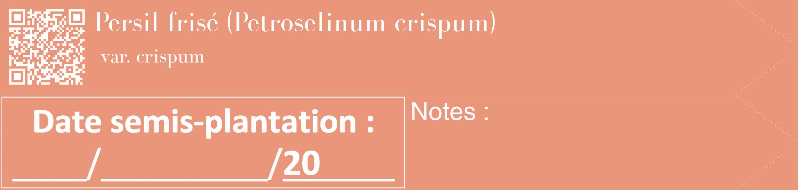 Étiquette de : Petroselinum crispum var. crispum - format c - style blanche37_simple_simplebod avec qrcode et comestibilité