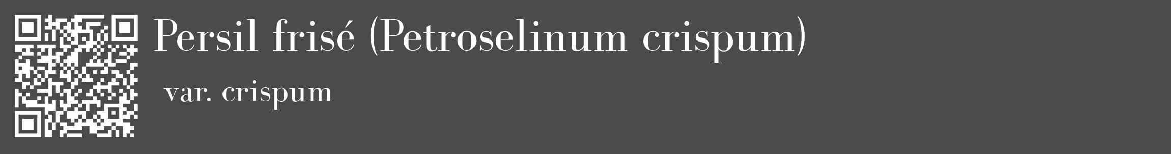 Étiquette de : Petroselinum crispum var. crispum - format c - style blanche9_basique_basiquebod avec qrcode et comestibilité