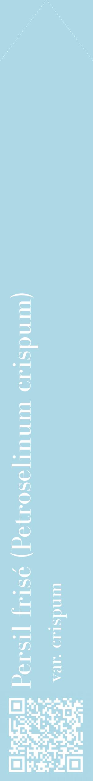 Étiquette de : Petroselinum crispum var. crispum - format c - style blanche0_simplebod avec qrcode et comestibilité
