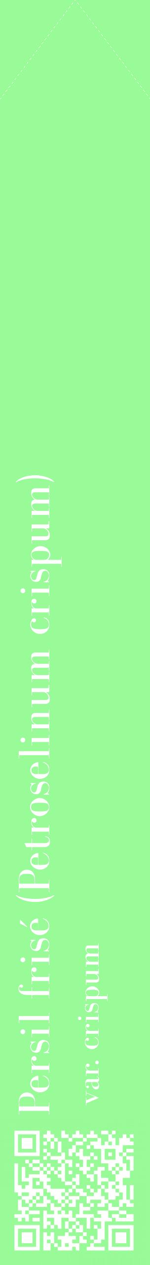 Étiquette de : Petroselinum crispum var. crispum - format c - style blanche14_simplebod avec qrcode et comestibilité