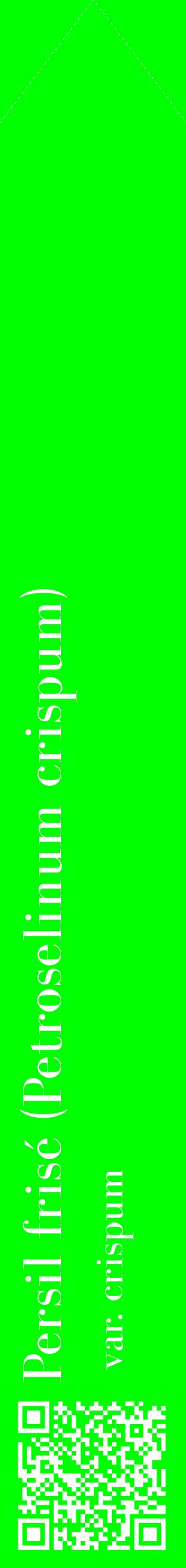 Étiquette de : Petroselinum crispum var. crispum - format c - style blanche16_simplebod avec qrcode et comestibilité