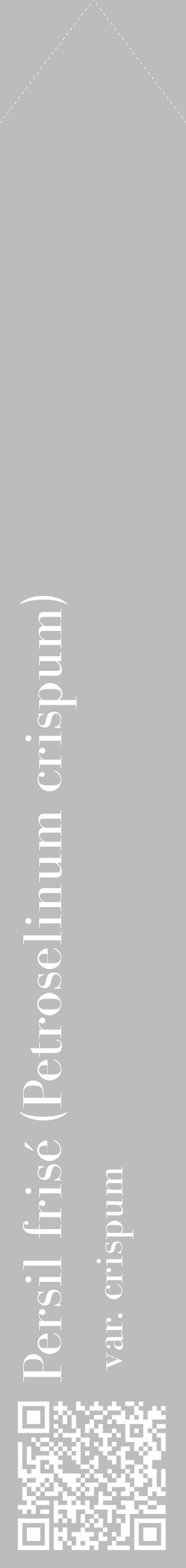 Étiquette de : Petroselinum crispum var. crispum - format c - style blanche1_simple_simplebod avec qrcode et comestibilité - position verticale