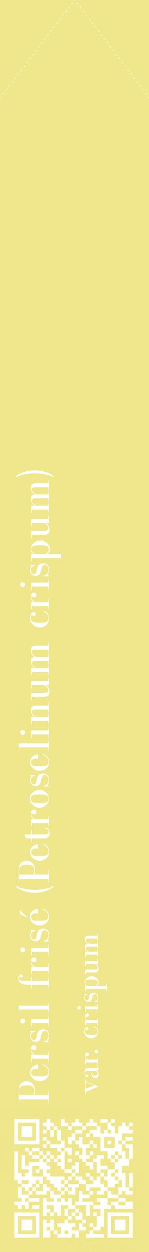 Étiquette de : Petroselinum crispum var. crispum - format c - style blanche20_simplebod avec qrcode et comestibilité