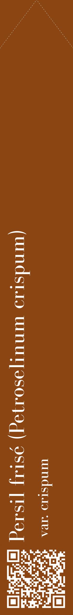 Étiquette de : Petroselinum crispum var. crispum - format c - style blanche30_simplebod avec qrcode et comestibilité