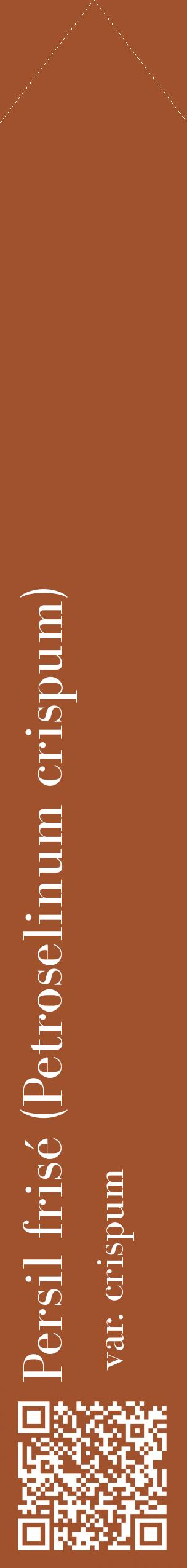 Étiquette de : Petroselinum crispum var. crispum - format c - style blanche32_simplebod avec qrcode et comestibilité