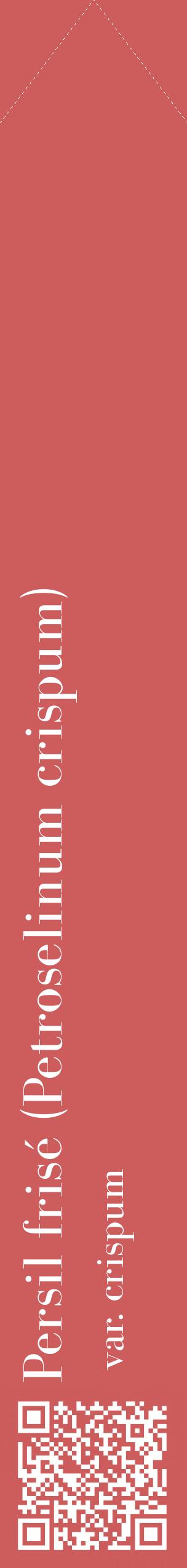 Étiquette de : Petroselinum crispum var. crispum - format c - style blanche35_simplebod avec qrcode et comestibilité