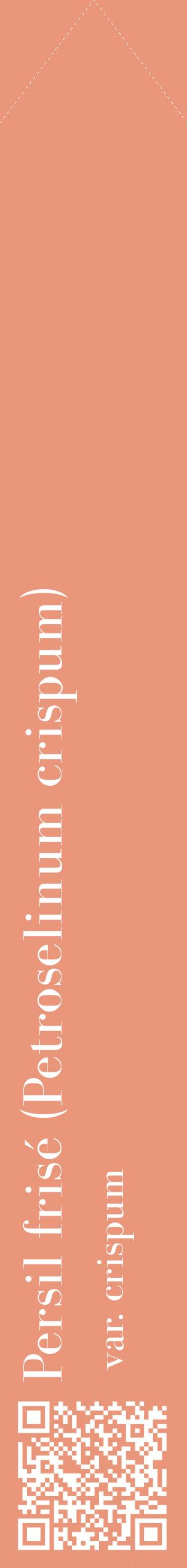 Étiquette de : Petroselinum crispum var. crispum - format c - style blanche37_simplebod avec qrcode et comestibilité