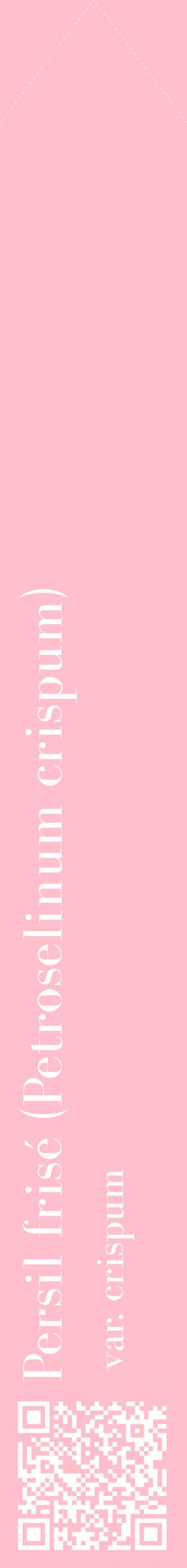 Étiquette de : Petroselinum crispum var. crispum - format c - style blanche40_simplebod avec qrcode et comestibilité