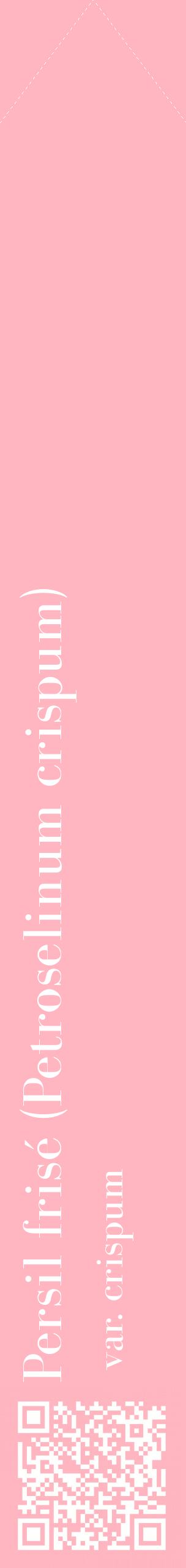 Étiquette de : Petroselinum crispum var. crispum - format c - style blanche41_simplebod avec qrcode et comestibilité