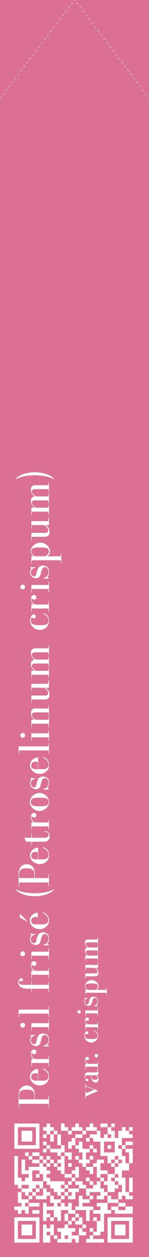 Étiquette de : Petroselinum crispum var. crispum - format c - style blanche44_simplebod avec qrcode et comestibilité