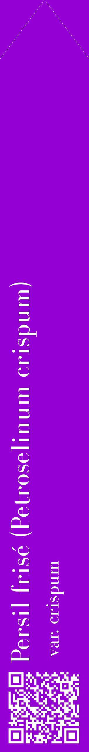 Étiquette de : Petroselinum crispum var. crispum - format c - style blanche48_simplebod avec qrcode et comestibilité