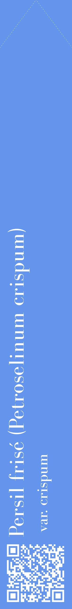 Étiquette de : Petroselinum crispum var. crispum - format c - style blanche4_simplebod avec qrcode et comestibilité
