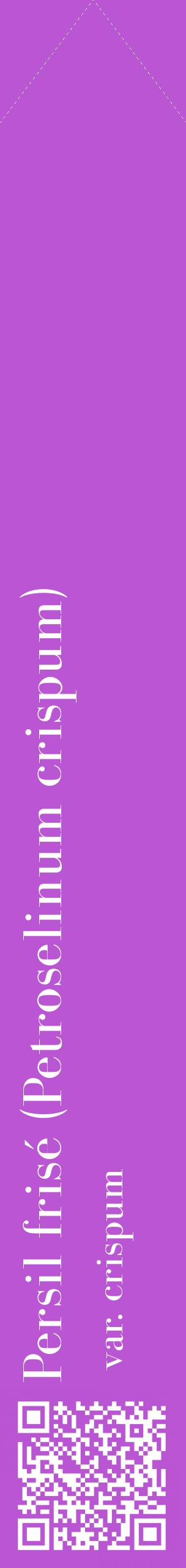 Étiquette de : Petroselinum crispum var. crispum - format c - style blanche50_simplebod avec qrcode et comestibilité