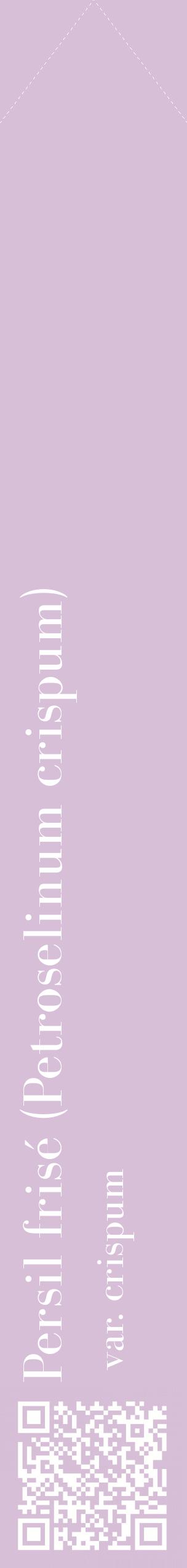 Étiquette de : Petroselinum crispum var. crispum - format c - style blanche54_simplebod avec qrcode et comestibilité