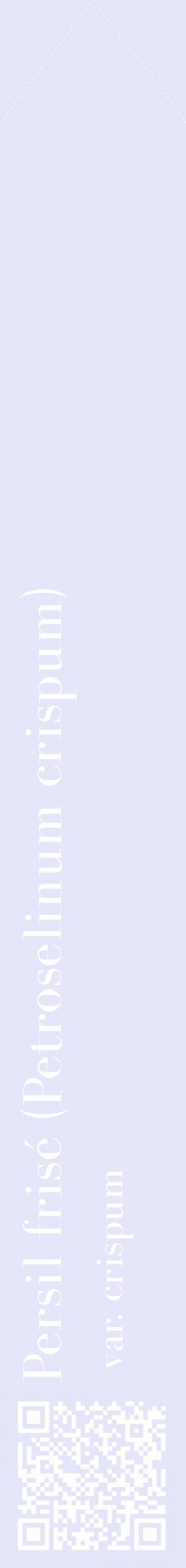 Étiquette de : Petroselinum crispum var. crispum - format c - style blanche55_simplebod avec qrcode et comestibilité