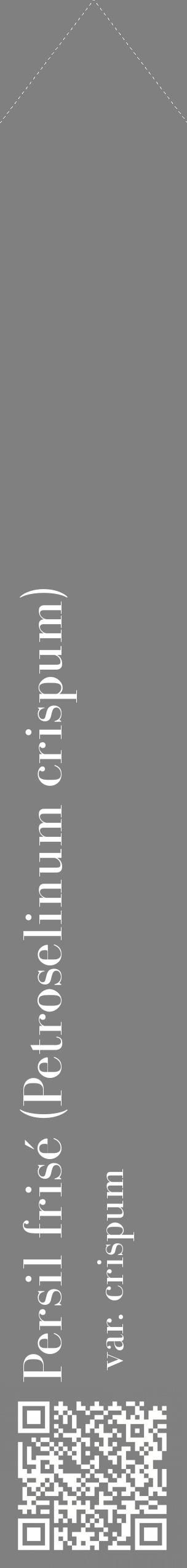 Étiquette de : Petroselinum crispum var. crispum - format c - style blanche57_simplebod avec qrcode et comestibilité