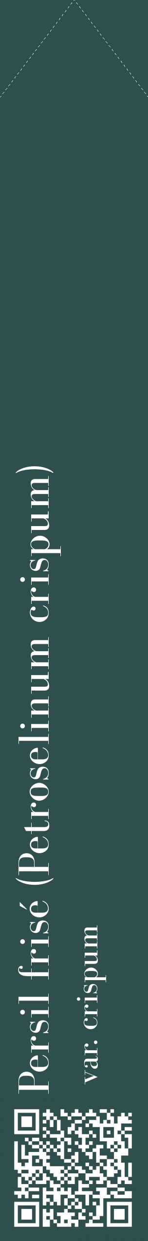 Étiquette de : Petroselinum crispum var. crispum - format c - style blanche58_simplebod avec qrcode et comestibilité