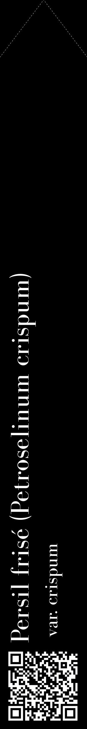 Étiquette de : Petroselinum crispum var. crispum - format c - style blanche59_simplebod avec qrcode et comestibilité