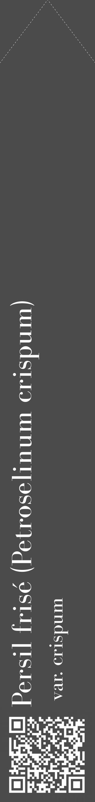 Étiquette de : Petroselinum crispum var. crispum - format c - style blanche9_simple_simplebod avec qrcode et comestibilité - position verticale