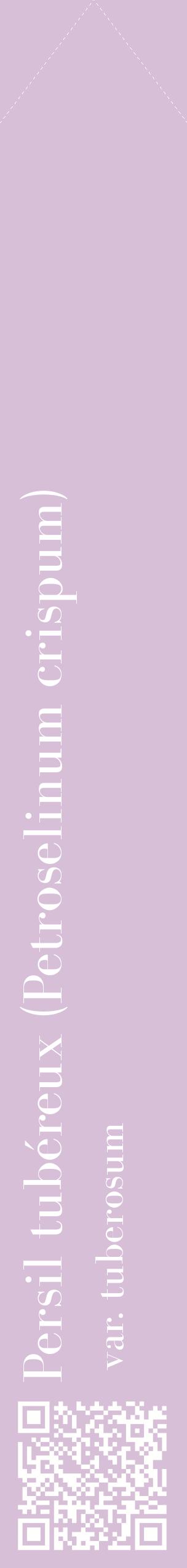 Étiquette de : Petroselinum crispum var. tuberosum - format c - style blanche54_simplebod avec qrcode et comestibilité