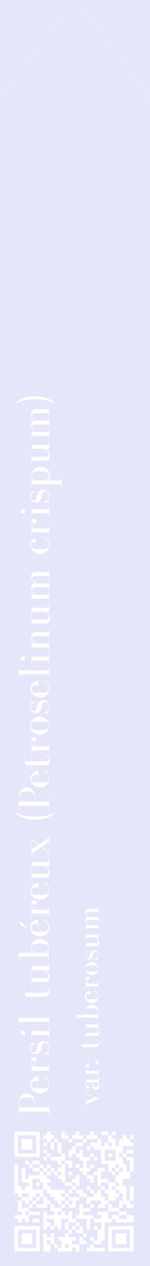 Étiquette de : Petroselinum crispum var. tuberosum - format c - style blanche55_simplebod avec qrcode et comestibilité