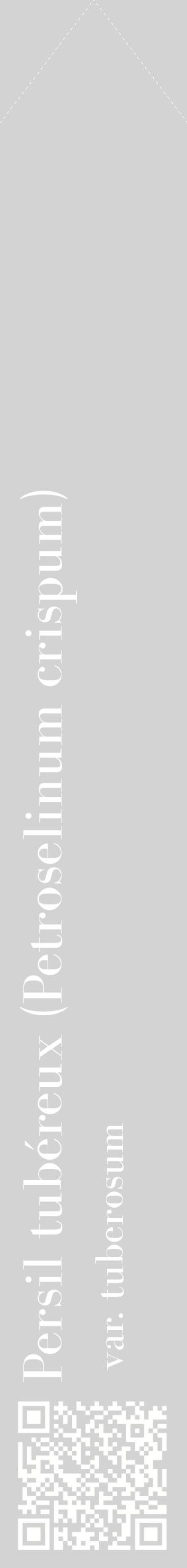 Étiquette de : Petroselinum crispum var. tuberosum - format c - style blanche56_simplebod avec qrcode et comestibilité