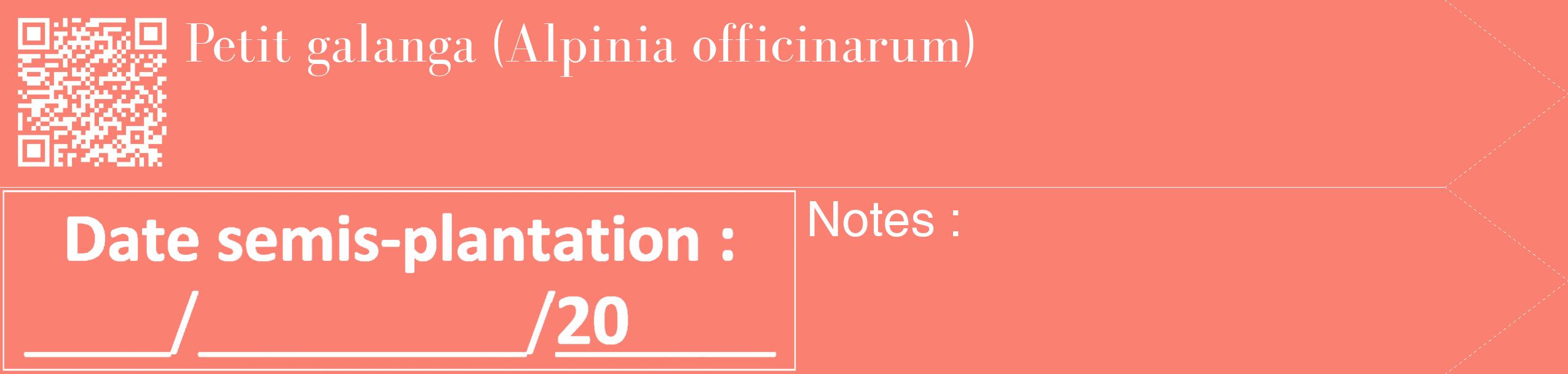 Étiquette de : Alpinia officinarum - format c - style blanche38_simple_simplebod avec qrcode et comestibilité