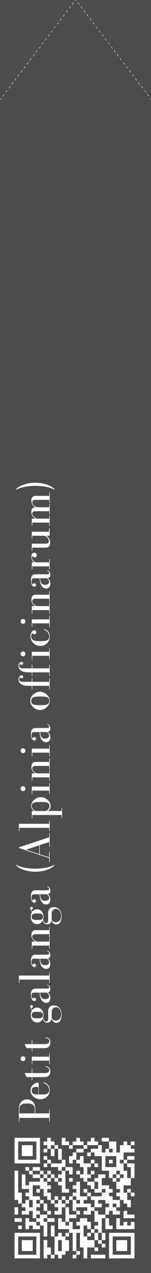 Étiquette de : Alpinia officinarum - format c - style blanche27_simple_simplebod avec qrcode et comestibilité - position verticale