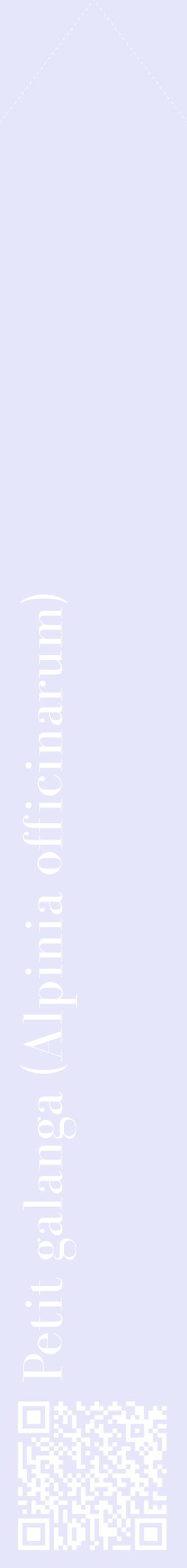 Étiquette de : Alpinia officinarum - format c - style blanche55_simplebod avec qrcode et comestibilité