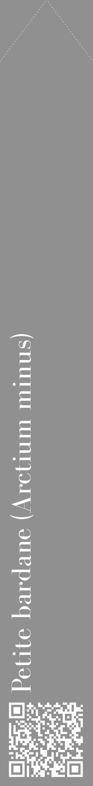 Étiquette de : Arctium minus - format c - style blanche4_simple_simplebod avec qrcode et comestibilité - position verticale