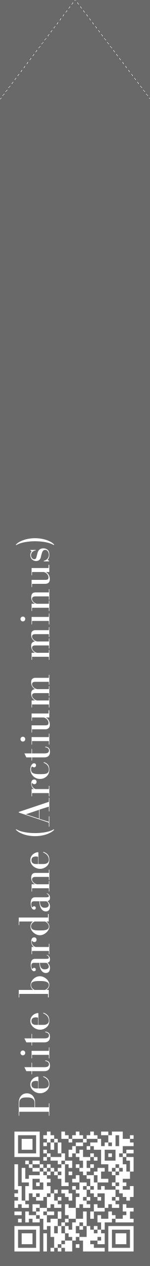 Étiquette de : Arctium minus - format c - style blanche51_simple_simplebod avec qrcode et comestibilité - position verticale