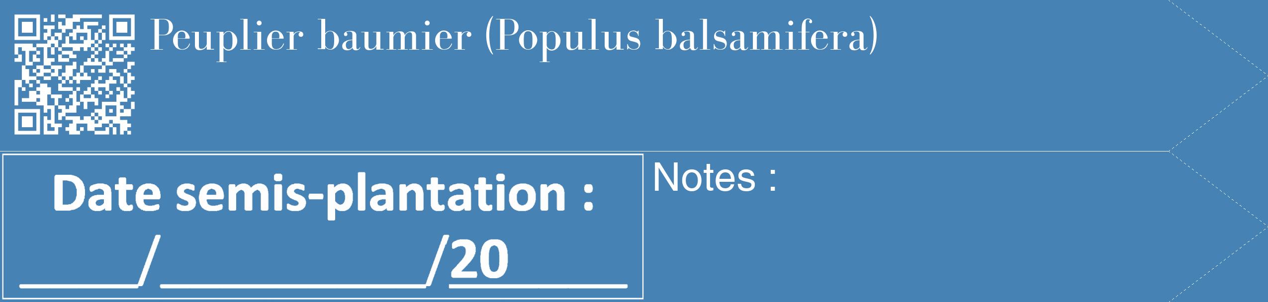 Étiquette de : Populus balsamifera - format c - style blanche5_simple_simplebod avec qrcode et comestibilité