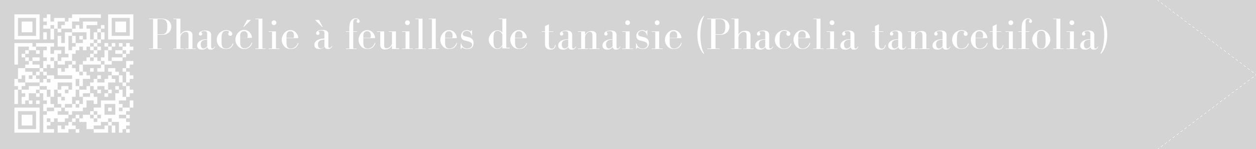 Étiquette de : Phacelia tanacetifolia - format c - style blanche40_simple_simplebod avec qrcode et comestibilité