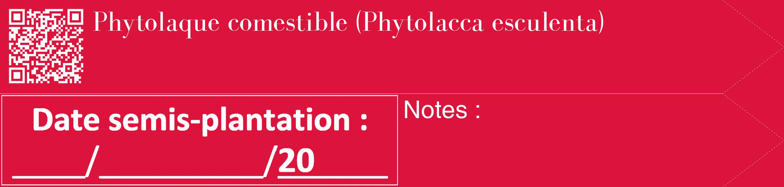 Étiquette de : Phytolacca esculenta - format c - style blanche36_simple_simplebod avec qrcode et comestibilité