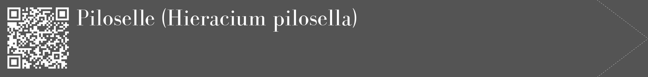 Étiquette de : Hieracium pilosella - format c - style blanche30_simple_simplebod avec qrcode et comestibilité